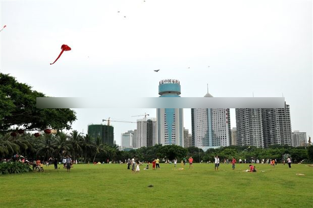 海口市容市貌与城市特色介绍